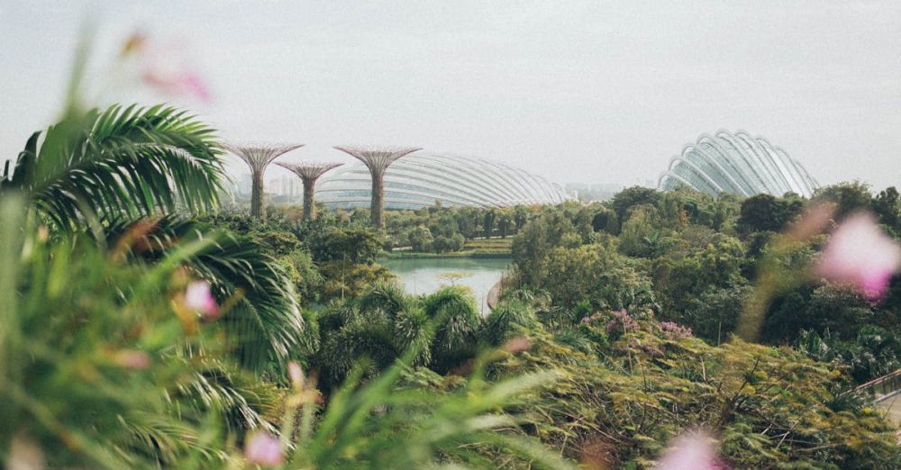 Sustainable Gardens - A vibrant view of Gardens by the Bay in Singapore, featuring lush greenery and iconic structures.