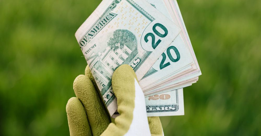 Budget Gardens - Gloved hand displaying twenty dollar bills with green field background.