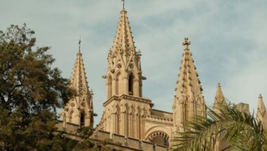 Religious History - Free stock photo of cathedral, cathedral architecture, palma cathedral