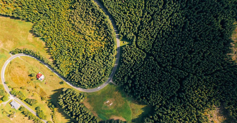 Nature Road Trips - Drone shot capturing winding road through dense forest in Malá Úpa, Czechia.