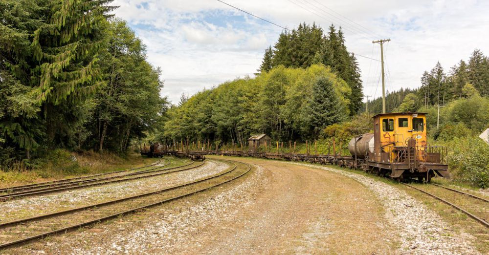 BC Road Trips - Train on rural tracks surrounded by lush forest in Telegraph Cove, BC.