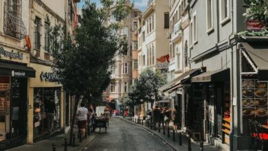 History Road Trips - Narrow cobblestone street with old buildings and lush summer greenery in bright day