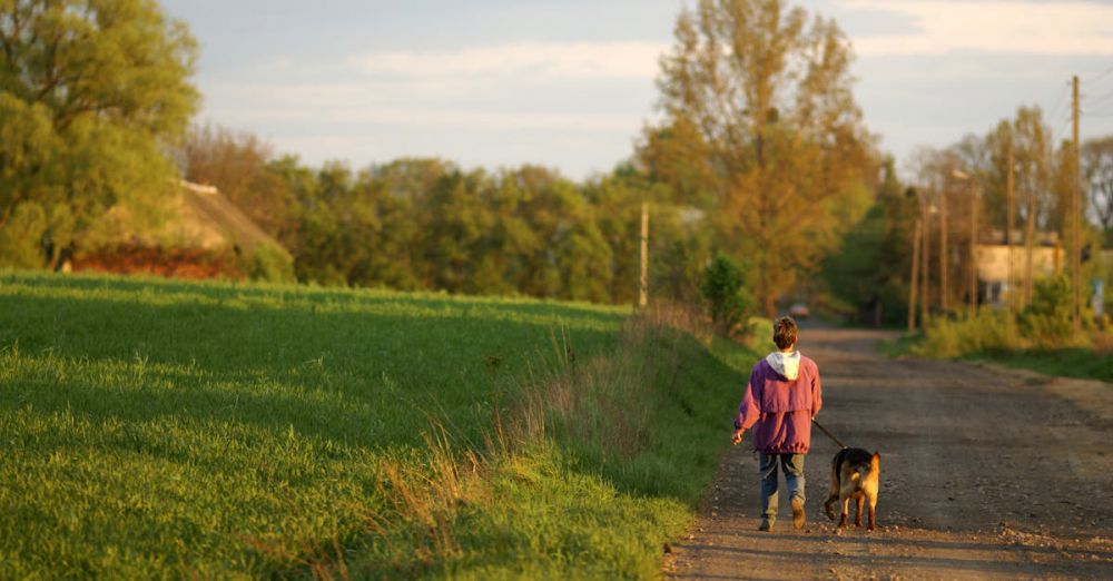 Road Trip With Kids - A child walks a dog on a dirt road amidst lush greenery in Skomlin, Poland.