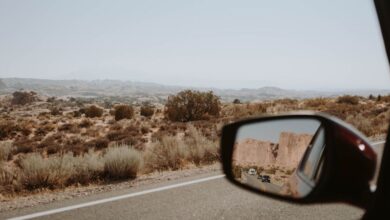 Wildlife Road Trips - Capture of a scenic desert landscape during a road trip, viewed through a car's mirror.