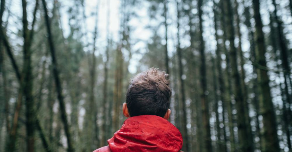 Jacket - A man in a red jacket standing in a lush forest, embracing nature's calm.