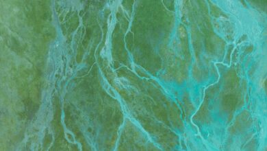 Nature Photography - An aerial view showcasing abstract river-like patterns in a lush green landscape, emphasizing nature's artistry.