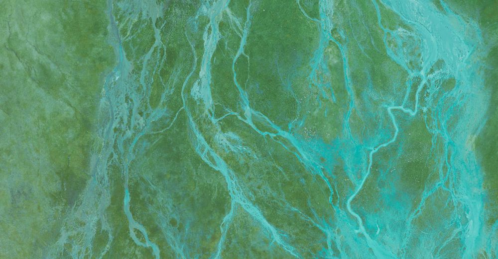 Nature Photography - An aerial view showcasing abstract river-like patterns in a lush green landscape, emphasizing nature's artistry.