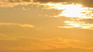 Golden Hour Photography - A dramatic view of Selimiye Mosque silhouetted against a vibrant sunset in Edirne, Turkey.