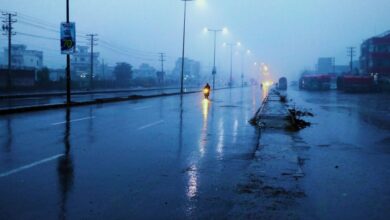 Landscape Photography Tips - Rain-soaked street at twilight with glowing streetlights and misty atmosphere.