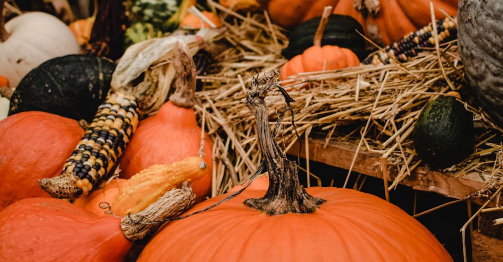 Quebec Festivals - Colorful arrangement of pumpkins and gourds in a rustic fall setting, capturing the essence of harvest season.