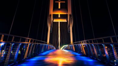 Scenic Zip Lining - Vibrant night view of a modern illuminated bridge with colorful lighting and reflections.