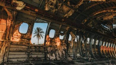 Adventure Zip Lining - Interior of an abandoned airplane with a palm tree visible through windows, lit by golden sunset.