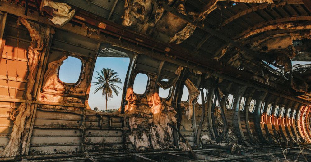 Adventure Zip Lining - Interior of an abandoned airplane with a palm tree visible through windows, lit by golden sunset.