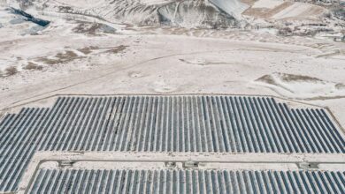 Rockies Zip Lining - Expansive solar farm set against the stunning Altai Mountains in Russian landscape.