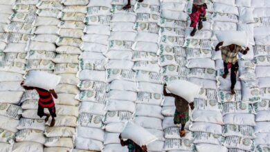 Mixed Groups Zip Lining - Aerial view of workers carrying rice bags in an industrial warehouse setting.