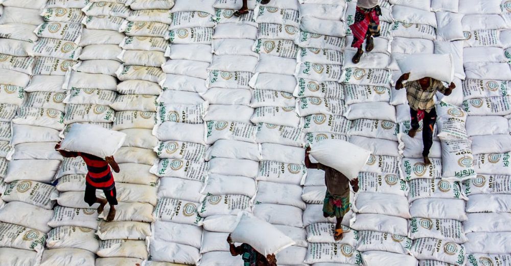 Mixed Groups Zip Lining - Aerial view of workers carrying rice bags in an industrial warehouse setting.