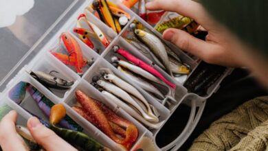 Fishing Trip Preparation - Hands organizing assorted fishing lures in a plastic box.