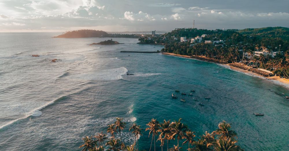 Fishing Wildlife - Breathtaking aerial view of a vibrant coastal landscape in Sri Lanka, featuring lush palm trees and azure waters.