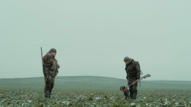 Small Game Hunting - Two hunters with rifles and a dog in a snowy countryside field.