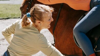 Family Horseback Riding - A woman teaching a young girl horse riding outdoors during the day.