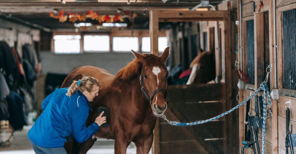 Horseback Riding Gear - A woman in a blue jacket grooms a horse inside a rustic wooden stable.