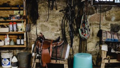 Ontario Horseback Riding - A cozy stable with equestrian equipment, including saddles and pails, against a stone wall.