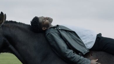 Solo Horseback Riding - A man in a leather jacket lies peacefully on a horse in an open grassy field.