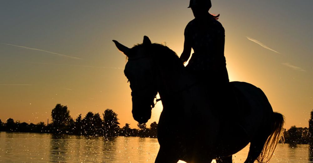 Adventure Horseback Riding - A silhouette of a person riding a horse on the beach at sunset, creating a serene and dynamic scene.