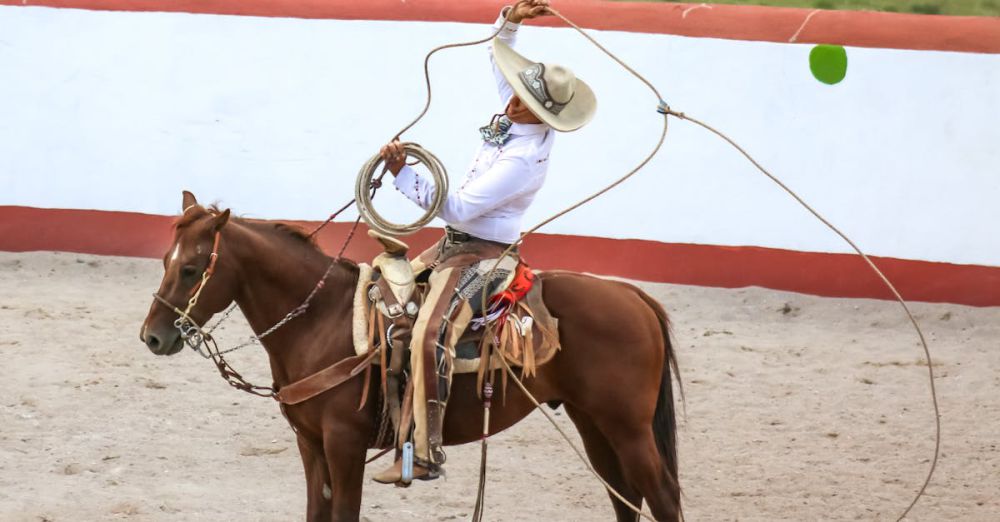 Budget Horseback Riding - A cowboy demonstrates lasso skills on horseback in a vibrant rodeo setting.