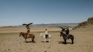 Rockies Horseback Riding - Traditional Mongolian eagle hunters on horseback in the vast desert landscape.