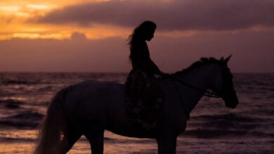 Coastal Horseback Riding - Silhouette of a person riding a horse along a beach in Thailand during a stunning sunset.