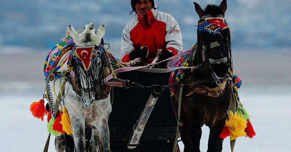 Horseback Riding Trip Planning - A person riding a sleigh pulled by two horses on a snow-covered field in winter. Colorful decorations add vibrancy.