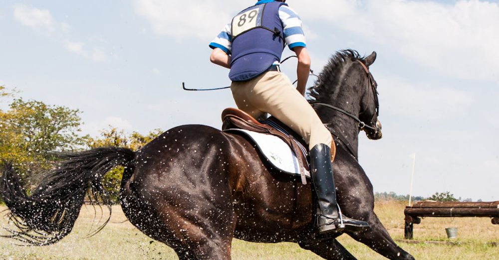 Multi-Day Horseback Riding - A skilled equestrian rider on a horse jumping over a water obstacle during a competition, showcasing speed and agility.