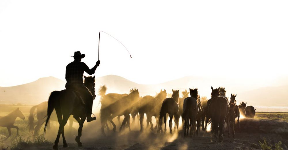 Horseback Riding Photography - A cowboy herding a group of horses at sunrise in Hürmetci, Kayseri, Türkiye.