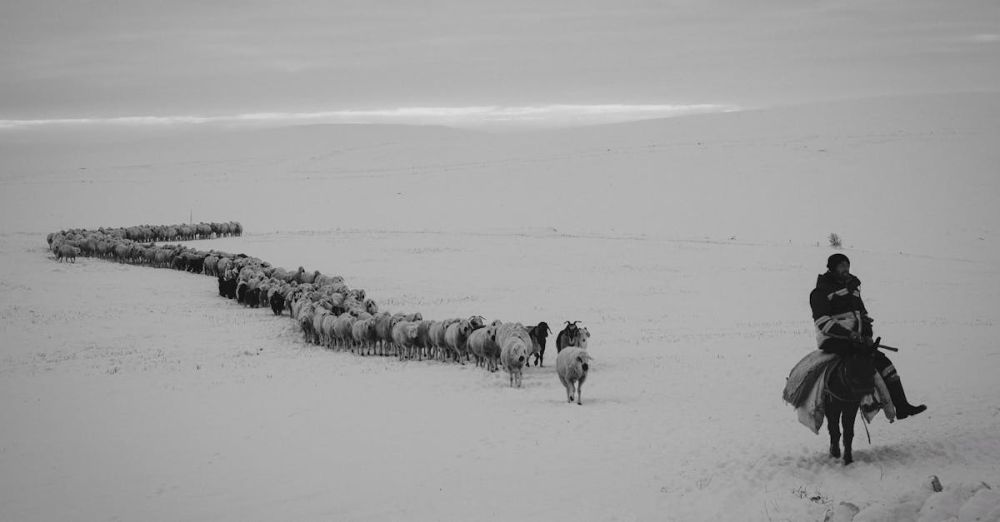 Winter Horseback Riding - A shepherd rides a donkey, guiding a herd of sheep and goats across a snowy winter landscape.