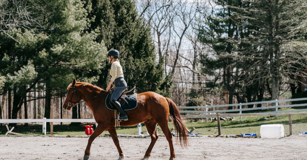 Spring Horseback Riding - A woman engaged in horseback riding practice in a serene outdoor setting.