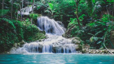 Waterfalls - Captivating tropical waterfall cascading through vibrant jungle greenery, a serene nature escape.