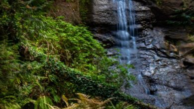 BC Waterfalls - Captivating waterfall flowing through lush greenery in a forested area of British Columbia, Canada.