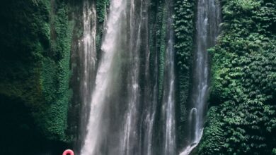 Swimming Waterfalls - A stunning waterfall in a lush tropical rainforest in Indonesia, perfect for travel lovers.