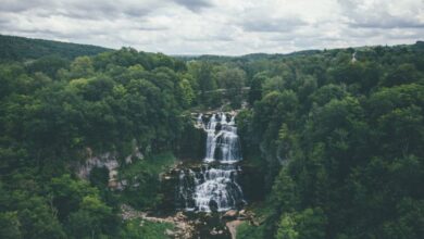 Popular Waterfalls - A breathtaking aerial shot of a waterfall surrounded by a dense, green forest.