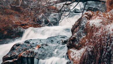 Winter Waterfalls - Serene winter waterfall flows through a snow-covered forest in Bergenhus, Norway.