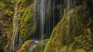 Peaceful Waterfalls - Tranquil waterfall cascading over mossy rocks in a lush forest setting. Perfect nature background.