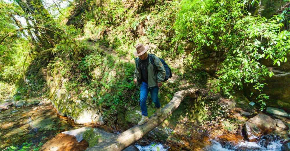 Waterfall Trails - A hiker in a hat crosses a wooden log bridge over a stream in a lush green forest.