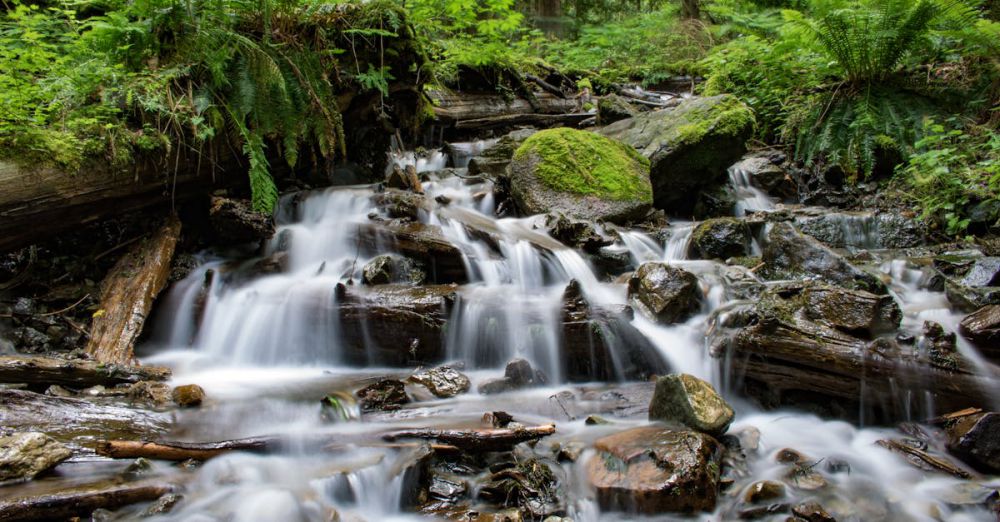 Spring Waterfalls - Peaceful waterfall cascading through lush forest, surrounded by mossy rocks and ferns.