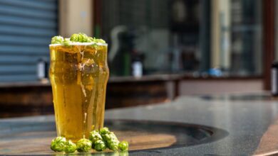 Breweries - Tall glass of beer with fresh hops outdoors in Nelson, New Zealand - perfect for craft beer enthusiasts.