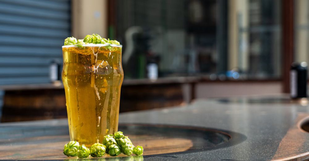 Breweries - Tall glass of beer with fresh hops outdoors in Nelson, New Zealand - perfect for craft beer enthusiasts.