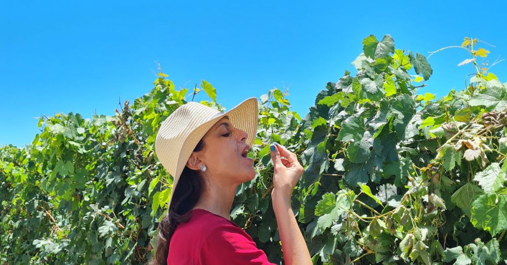 Organic Wine Tours - A woman in a red dress and straw hat savoring grapes in a lush vineyard under a clear blue sky.