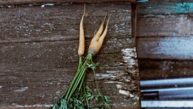 Local Produce Markets - A bunch of fresh organic carrots with greens on a rustic wooden surface, perfect for farm-to-table themes.