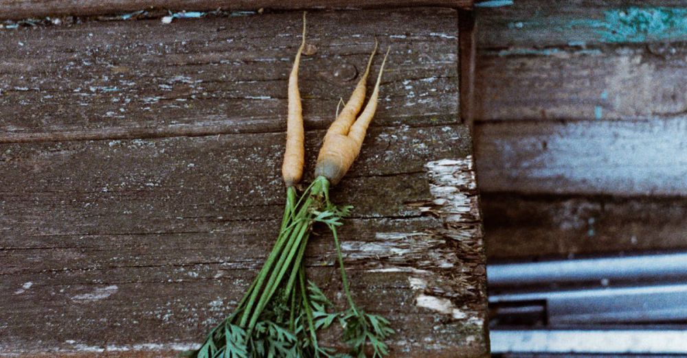 Local Produce Markets - A bunch of fresh organic carrots with greens on a rustic wooden surface, perfect for farm-to-table themes.