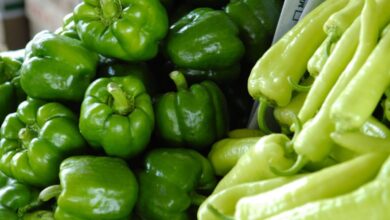 Farmers Market Search - Close-up of fresh green bell peppers and chili peppers, showcasing vibrant and organic produce in a market setting.